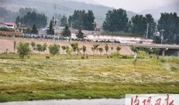 汝阳县城爆料事件最新情况,真相逐步浮出水面