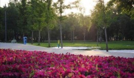 兰州植物园爆料案件最新,真相渐浮水面，疑云终将揭晓