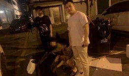 莱西摄影师爆料案件最新,案件背后惊人真相揭露